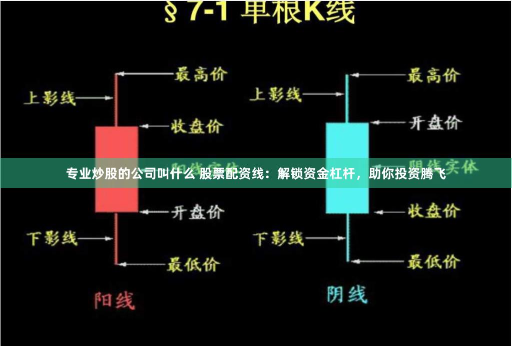 专业炒股的公司叫什么 股票配资线：解锁资金杠杆，助你投资腾飞