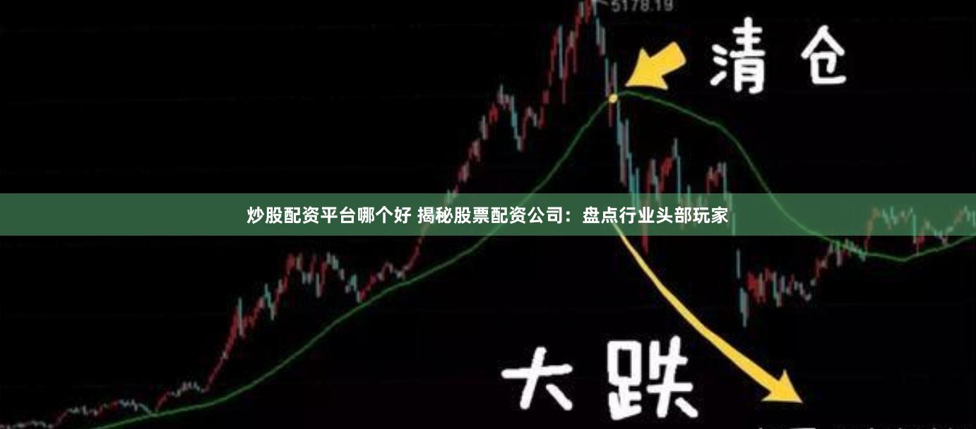 炒股配资平台哪个好 揭秘股票配资公司：盘点行业头部玩家