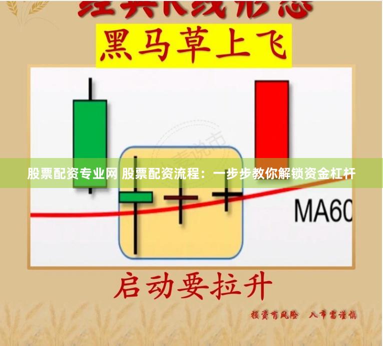 股票配资专业网 股票配资流程：一步步教你解锁资金杠杆