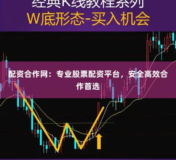 配资合作网：专业股票配资平台，安全高效合作首选