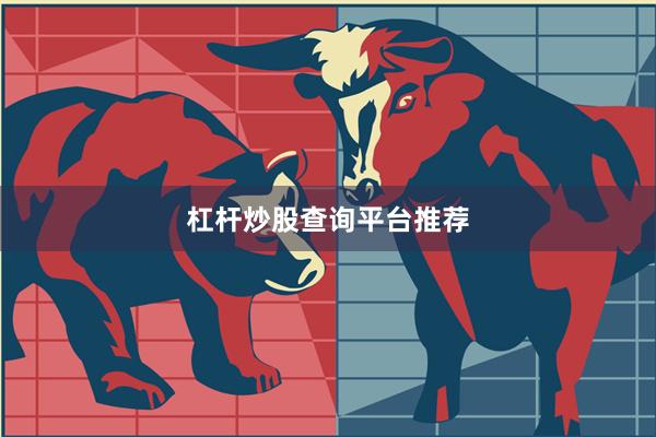 杠杆炒股查询平台推荐
