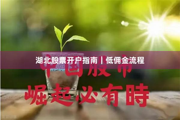 湖北股票开户指南｜低佣金流程