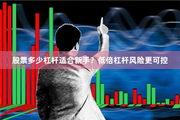 股票多少杠杆适合新手？低倍杠杆风险更可控