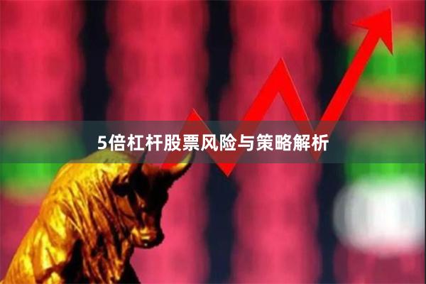 5倍杠杆股票风险与策略解析